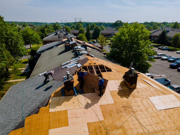Best Roof Gutter Cleaning  in Fall Creek, WI